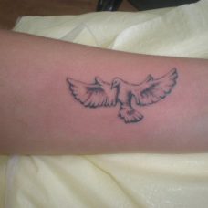 Татуировка голубя на предплечье