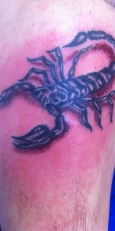 Тату скорпиона