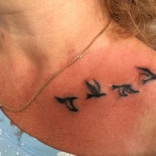 Татуировка на ключице для девушки - птички